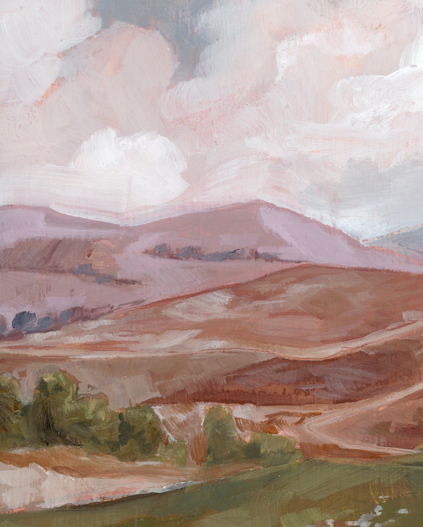 'Shepherd's field'
