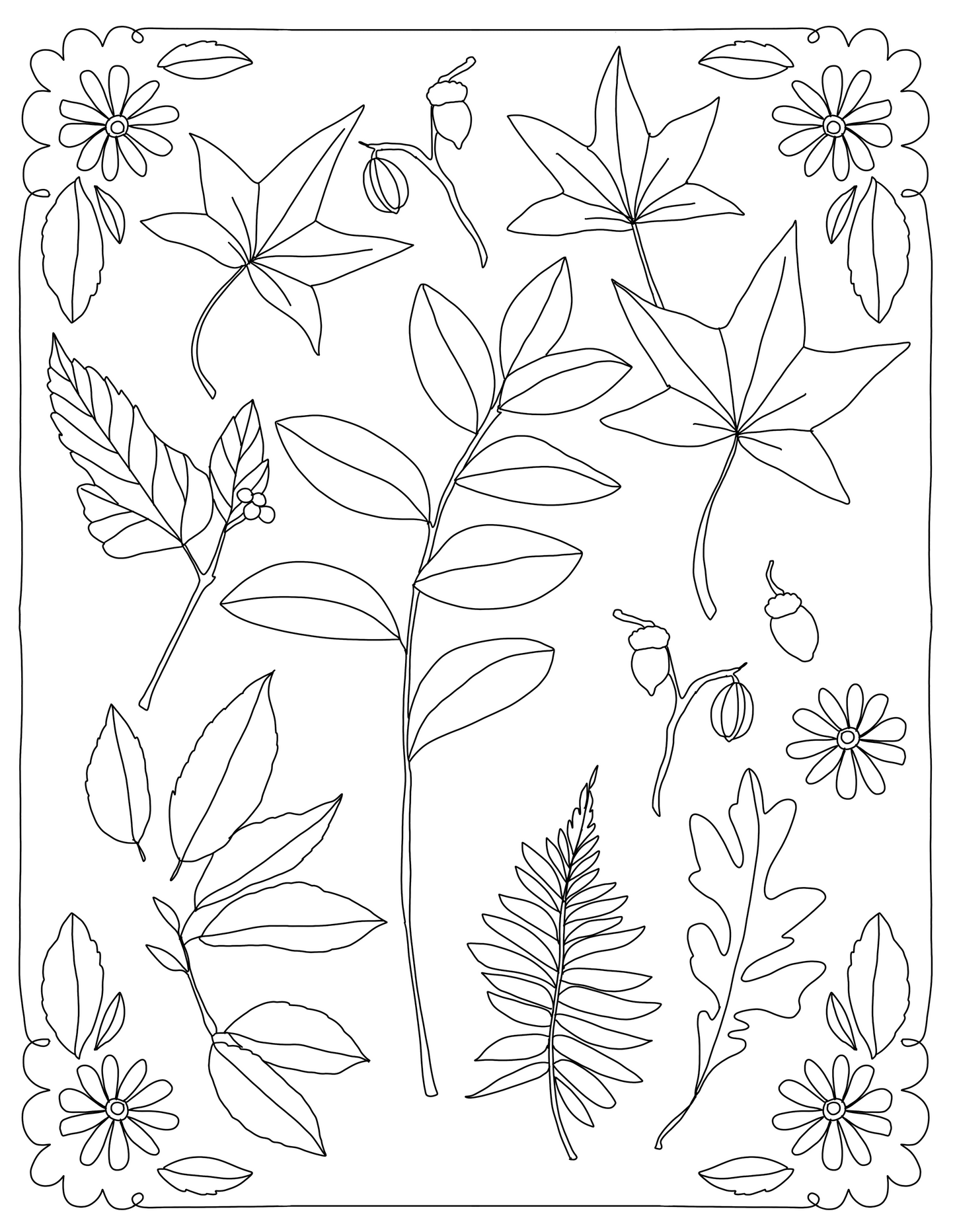 Thanksgiving - Free Coloring Pages