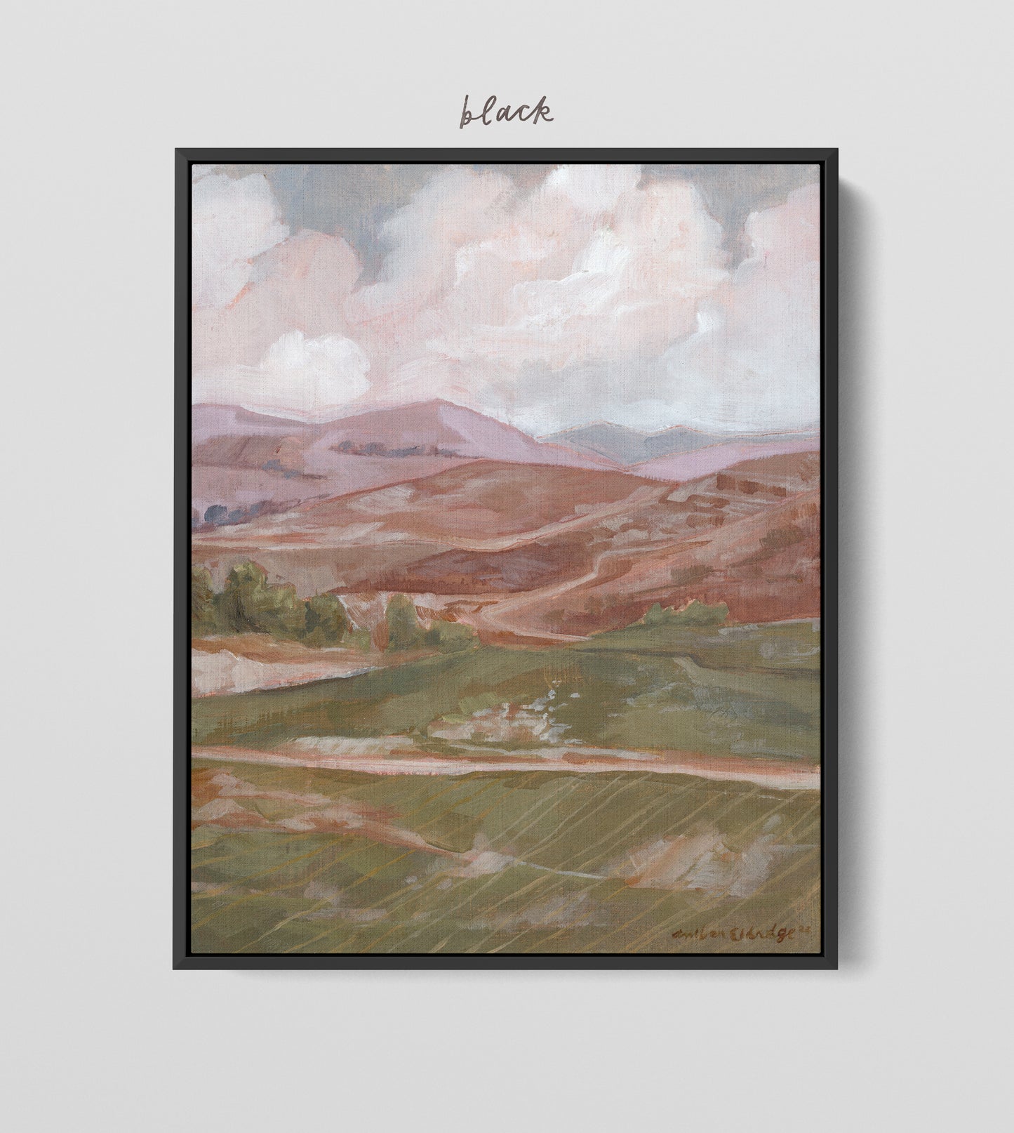 'Shepherd's field'