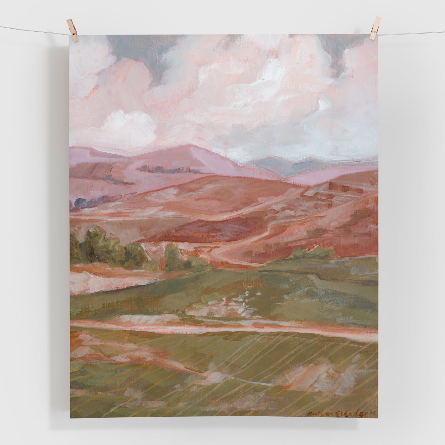 'Shepherd's field'